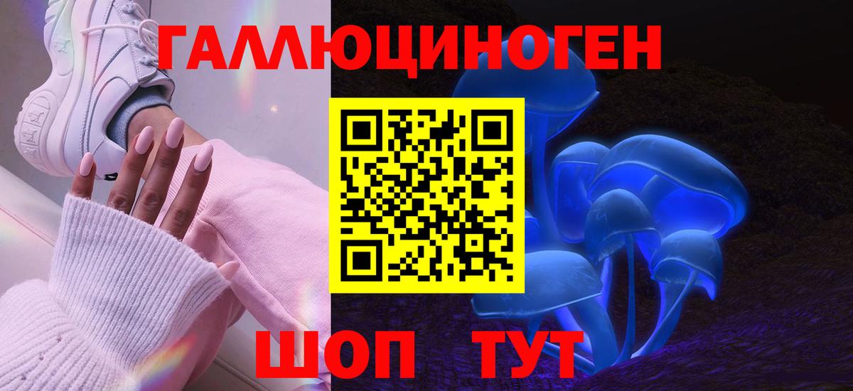 Псилоцибиновые грибы мухоморы Курчатов