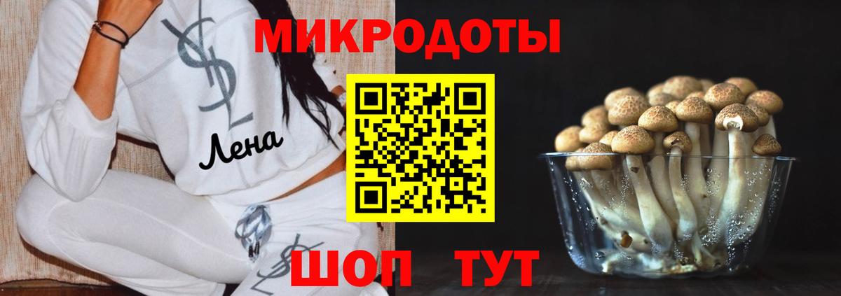 Курчатов  Галлюциногенные грибы мицелий  Галлюциногенные грибы мухоморы  что такое наркотик  Вход с VPN 